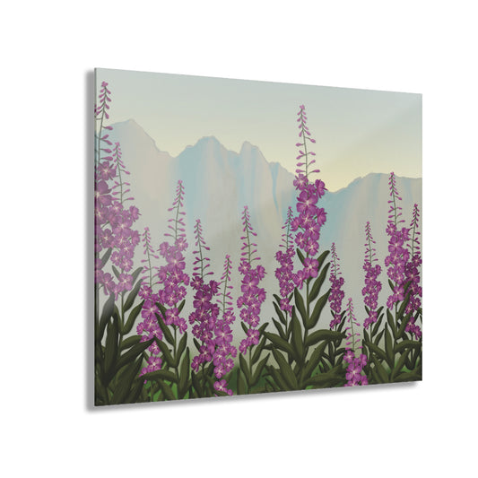 Fireweed Field  Acrylic Print